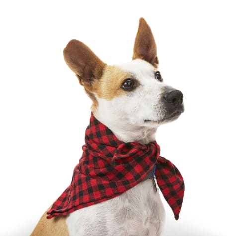 YOULY The Hipster Buffalo Checkered Dog Bandana