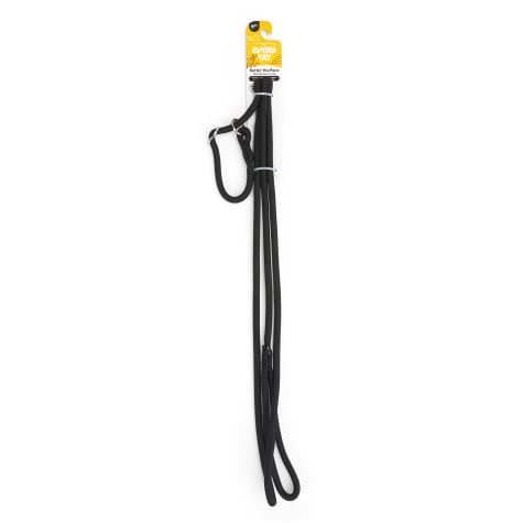 EveryYay Settin' the Pace  Training Rope Slip Leash for Dogs