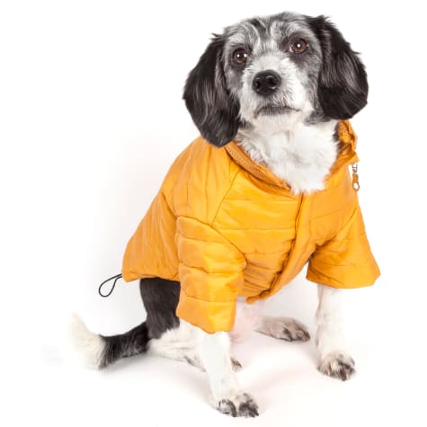 Pet Life Yellow Lightweight Adjustable Sporty Avalanche Pet Coat