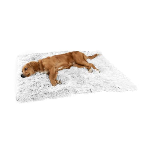 Best Friends by Sheri Frost Calming Shag Fur Blanket for Pets