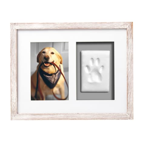 Pearhead Pet Pawprints Wall Frame Kit in Distressed White