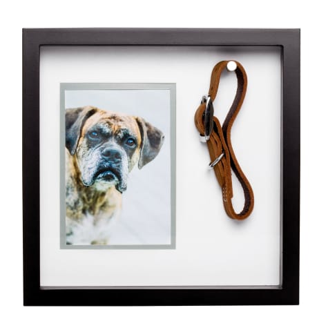Pearhead Pet Collar and Photo Keepsake Frame Set
