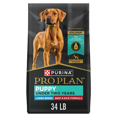 Purina Pro Plan Specialized Beef and Rice Formula High Protein Large Breed Puppy Dry Food With Probiotics