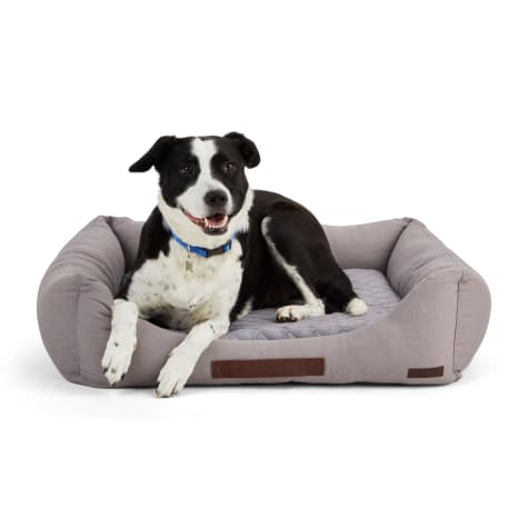 Reddy Canvas Cozy & Cool-Touch Dog Bed
