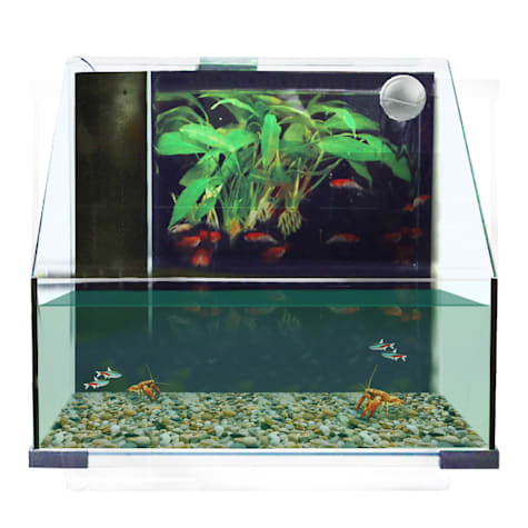 Penn Plax AquaTerrium Tank