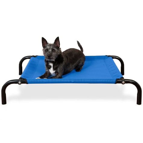 FurHaven Deep Blue Elevated Reinforced Pet Cot Bed