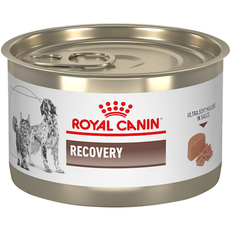 Royal Canin Veterinary Diet Feline and Canine Recovery Ultra Soft Mousse in Sauce Cat and Dog Food