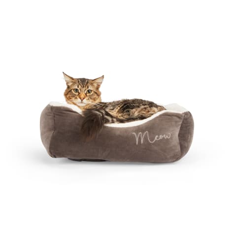 EveryYay Snooze Fest Grey Rectangular Cat Bed