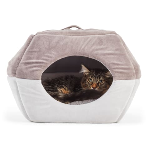 EveryYay Snooze Fest Grey 2-in-1 Convertible Cat Bed