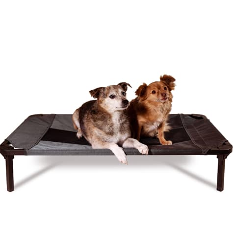 Lucky Dog Comfort Cot Gray Elevated Bed