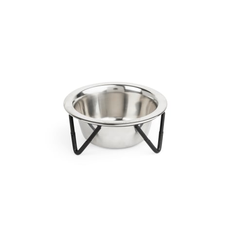 EveryYay Better Together Elevated Stainless-Steel Cat Bowl