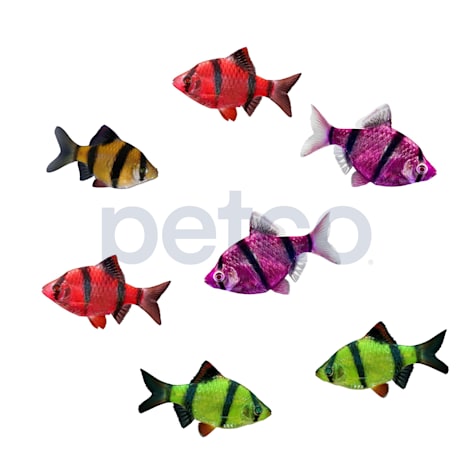 7-Pack GloFish Tiger Barb