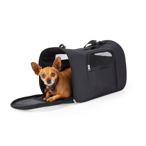 EveryYay Going Places To Go Black Pet Carrier