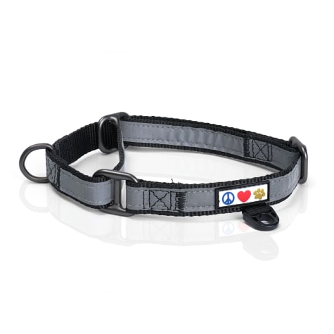 Pawtitas Reflective Martingale Dog Collar
