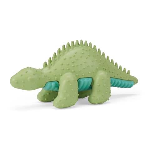 Leaps & Bounds Green Stegosaurus Dental Dog Chew Toy
