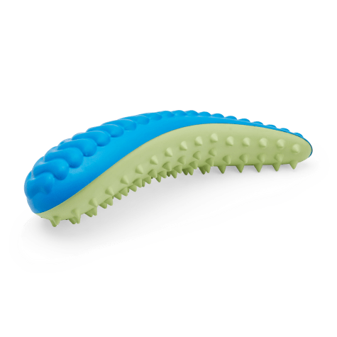 Leaps & Bounds Blue & Green Dental Chew Oval Dog Toy