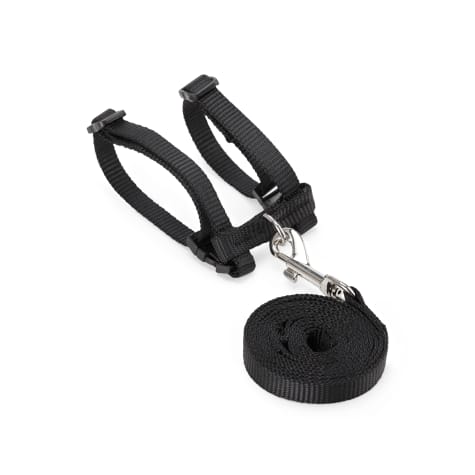 EveryYay Wear with Flair Deluxe Ferret Harness & Lead Set in Various Styles