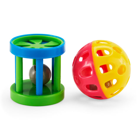 EveryYay Playin' Around Ferret Fun Ball & Wagon Wheel