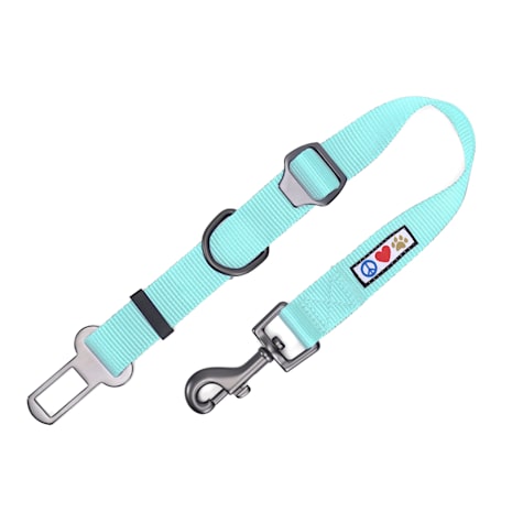 Pawtitas Teal Seat Belt Pet Carrier