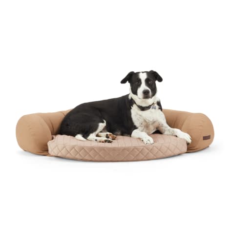 Reddy Tan Cozy & Cool Touch Corner Dog Bed