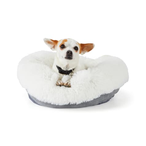 EveryYay Snooze Fest Cream Donut Bed for Dogs