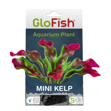 GloFish Mini Kelp Plant Aquarium Decor Fluorescent Under Blue LED Light