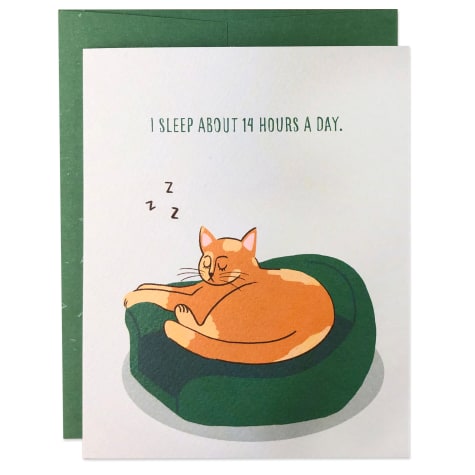 Moose & Pig Sleeping Cat Birthday Card
