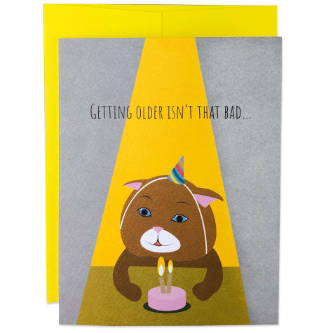 Moose & Pig Getting Older Cat Birthday Card