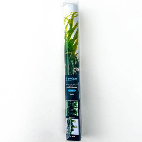 Seaview Brilliant Backgrounds Greenspike/ Amazonia
