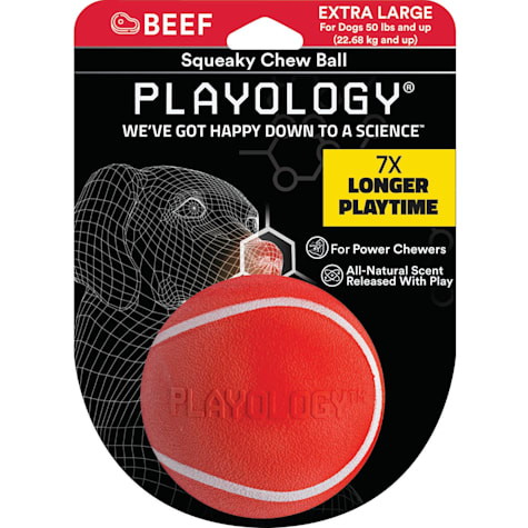 Playology Squeaky Chew Ball Beef Dog Toy