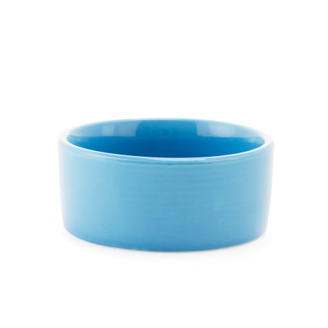 EveryYay Dining In Small Animal Bowl Assorted