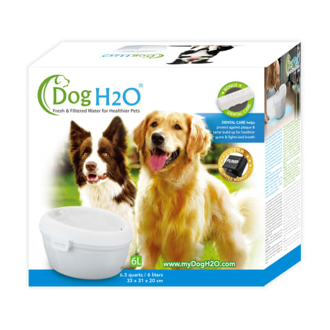 Cat H2O & Dog H2O Pet Fountain with Dental Care