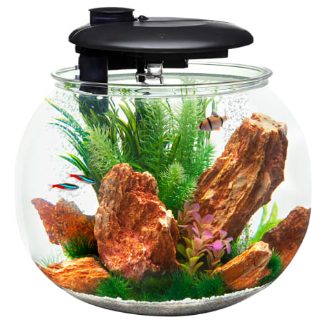Penn Plax 14 Gallons 360 Aquasphere Tank