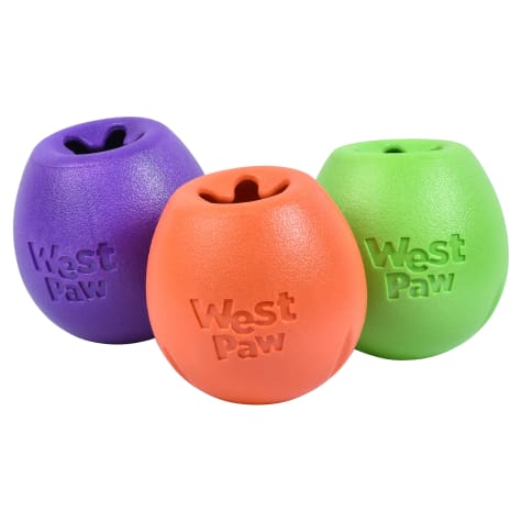 West Paw Rumbl Treat Dispensing Assorted Dog Toy