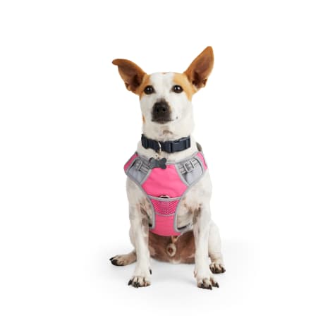 EveryYay Front Walking Reflective Dog Harness