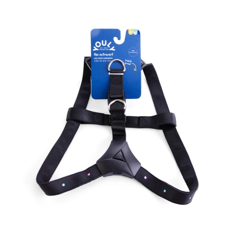 YOULY The Extrovert LED Dog Harness