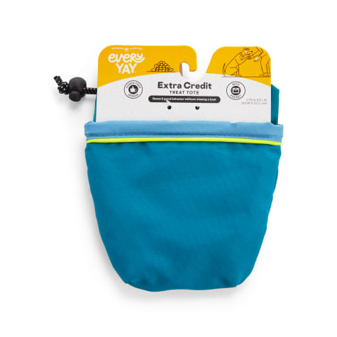 EveryYay Extra-Credit Blue Canvas Treat Pouch for Dogs