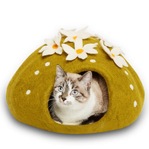 Dharma Dog Karma Cat Cactus Wool Pet Cave