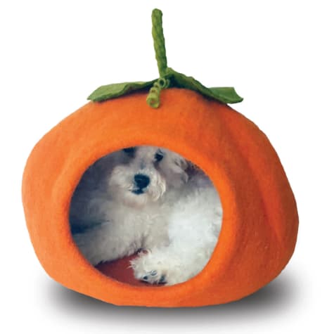 Dharma Dog Karma Cat Pumpkin Wool Pet Cave