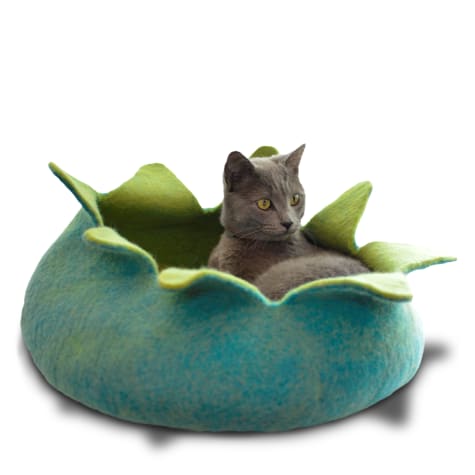 Dharma Dog Karma Cat Aqua Petal Wool Pet Basket