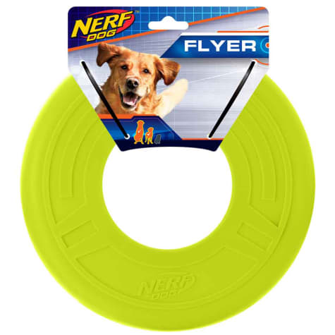 Nerf Green TPR Atomic Flyer Dog Toy