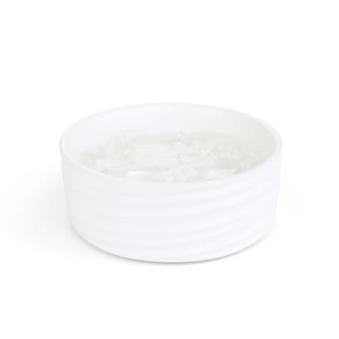 EveryYay Dining In Ivory Ceramic Wave Dog Bowl