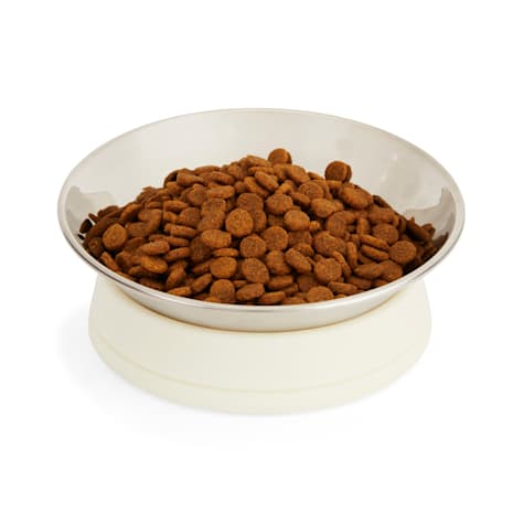 EveryYay Dining In Slanted Stainless-Steel Dog Bowl
