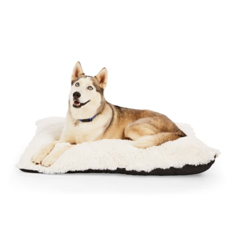 EveryYay Essentials Snooze Fest Lavender-Scented Lounger Dog Bed