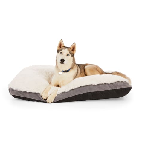 EveryYay Essentials Snooze Fest Lavender-Scented Dog Bed