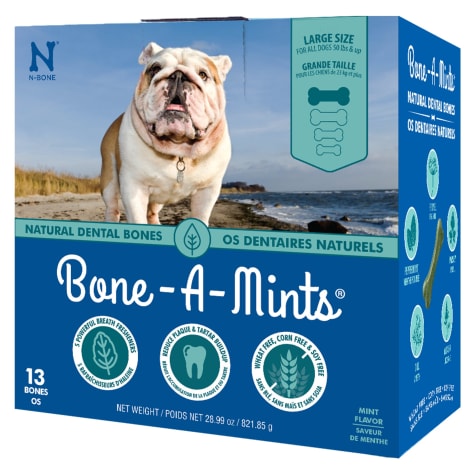 N-Bone Bone-A-Mints Mint Flavor Daily Dental Large Bone for Dogs