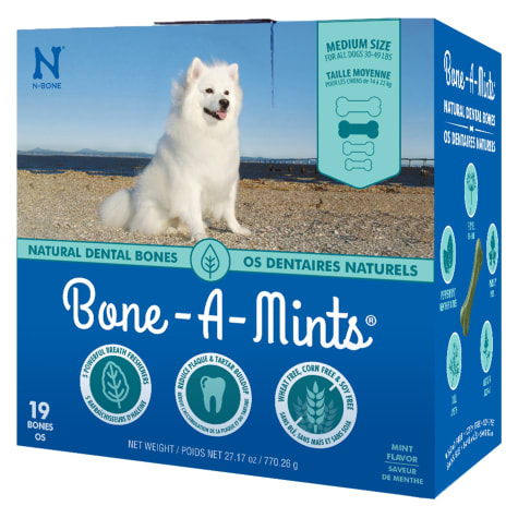 N-Bone Bone-A-Mints Mint Flavor Daily Dental Medium Bone for Dogs