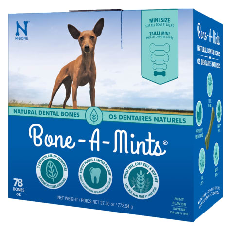 N-Bone Bone-A-Mints Mint Flavor Daily Dental X-Small Bone for Dogs