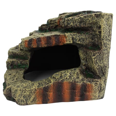 Komodo Resin Turtle Hideaway