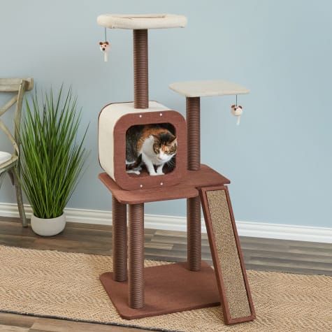 Two by Two Redwood Cat Tree and Condo